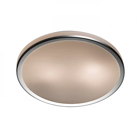 Настенно-потолочный светильник Odeon Light Yun 2177/2C