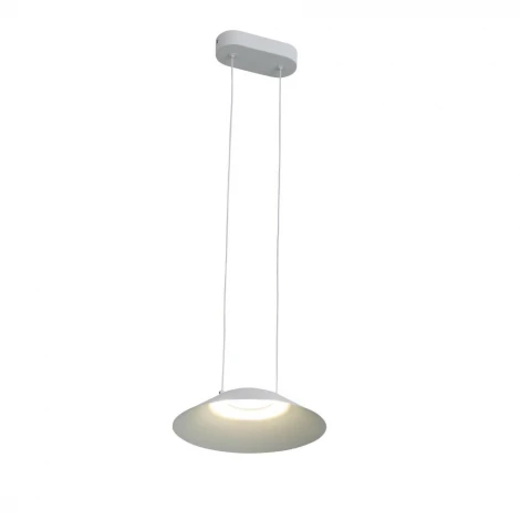 Подвесной светильник ST Luce Pitto SL427.503.01