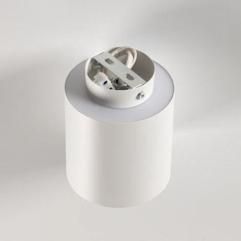 Накладной светильник DeMarkt Информ 851011801 (220V, круглые)