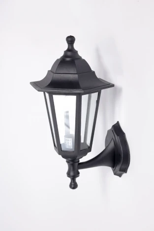 Уличный настенный фонарь Oasis Light PETERSBURG PL 79801P Bl