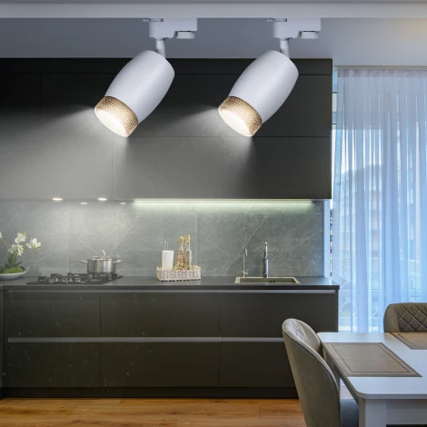 Трековый светильник ЭРА TR51 - GU10 WH (220V)