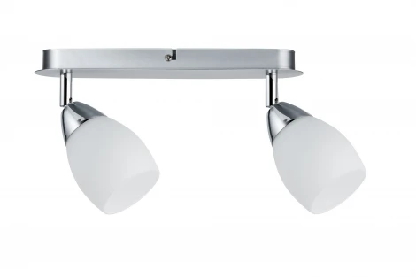 Спот Paulmann Wolba 66683