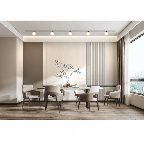 Трековый светильник магнитный 48V iLedex Vision48/25 4825-046-D120-6W-340DG-3000K-BK (шар)