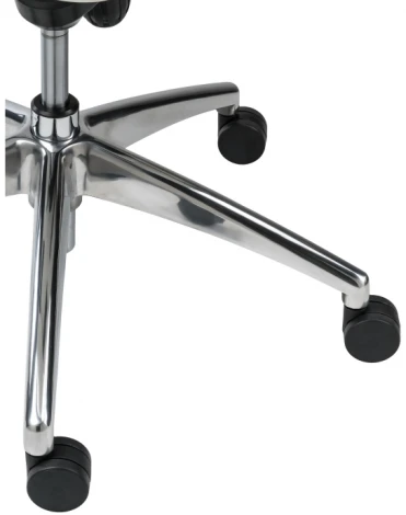 Компьютерное кресло Woodville Isida white / satin chrome 15427