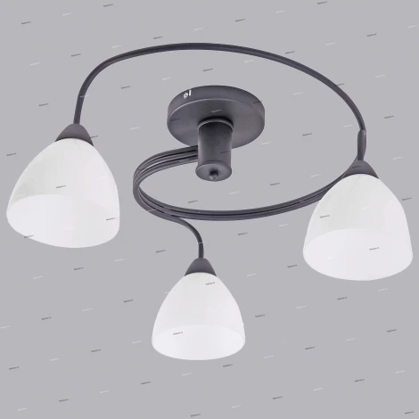 Потолочная люстра J-Light Fordy 1756/3C