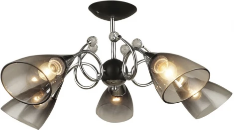 Потолочная люстра на штанге Wedo Light Merita 66727.01.13.05