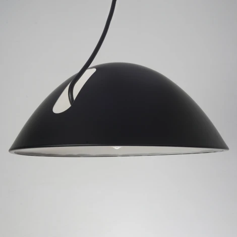 Подвесной светильник Zortes Korkee ZRS.1802.50 (220V, IP21)