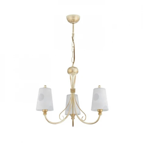 Подвесная люстра Jupiter Evan 1154 EV 3