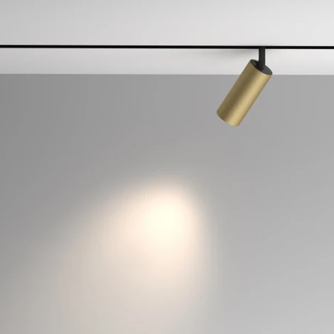 Трековый светильник магнитный 48V Maytoni Artisan TR097-2-12W4K-M-BMG (LED, круглые)