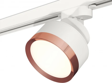 Трековый светильник Ambrella Track System XT8101005 (220V, круглые)