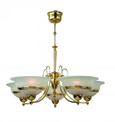 Подвесная люстра Arte Lamp Dafna A3542LM-5PB