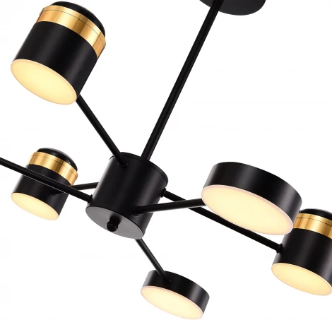 Потолочная люстра на штанге Evoluce Tezze SLE6007-402-06