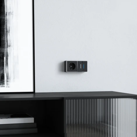 Выключатель двухклавишный с подсветкой Gallant Werkel W5020134 (черный с серебром)