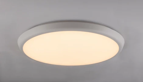 Потолочный светильник уличный Globo Aemon 32109S