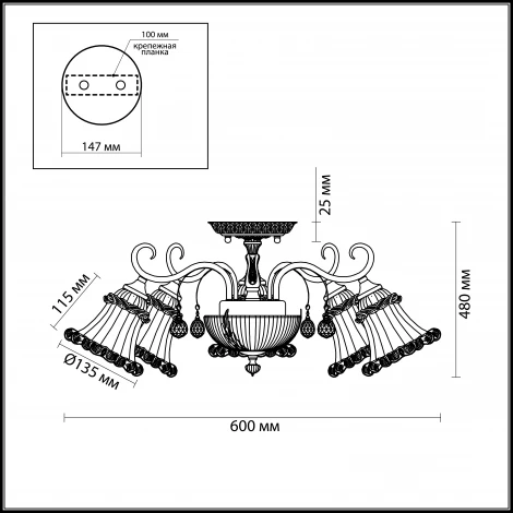 Потолочная люстра Odeon Light Salmora 2894/5C