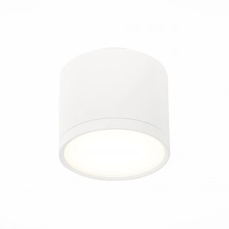 Накладной точечный светильник ST Luce Rene ST113.542.09 (LED, 220V, круглые)