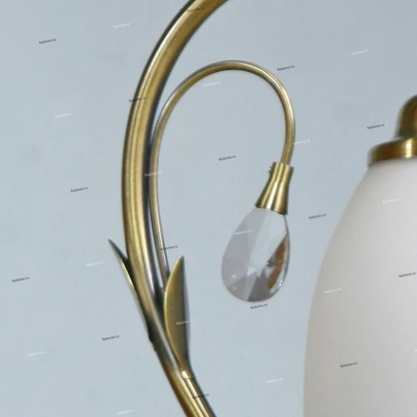 Brizzi Tarragona MA02640T/001 Bronze