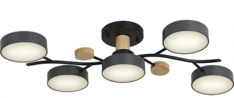 Потолочная люстра светодиодная на штанге с ДУ Ritter Scandia 52080 1