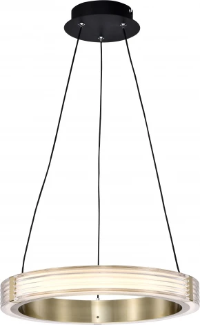 Подвесной светильник светодиодный Lightstar Rotonda 736241 (220V, на тросе, кольцо)