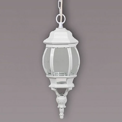 Уличный светильник подвесной Oasis Light 83405S W