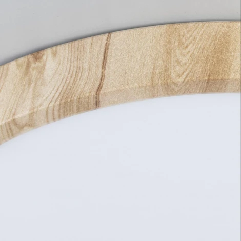 Настенно-потолочный светильник Citilux Бейсик CL738182V (регулировка яркости, LED, 220V, круглые, IP40)