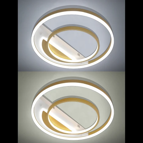 Потолочная люстра Natali Kovaltseva LED LAMPS 81311