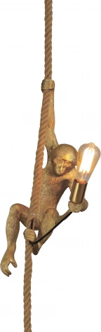 Подвесной светильник Ritter Monkey 52650 6