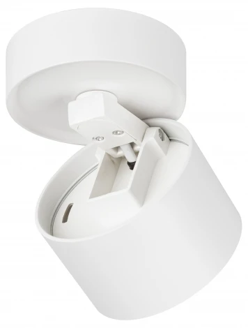 Спот ЭРА OL12 GX53 SWH OL12 GX53 SWH