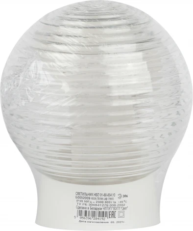 Настенно-потолочный светильник ЭРА НБП 01-60-004 наклонный (220V, шар)