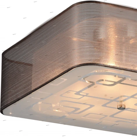 Потолочный светильник ST Luce Ajur SL940.802.06