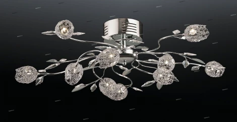 Потолочная люстра Odeon Light Fieso 2235/10C