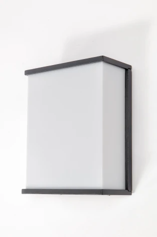 Настенный светильник уличный Oasis Light GEOMETRY 1843 Gr