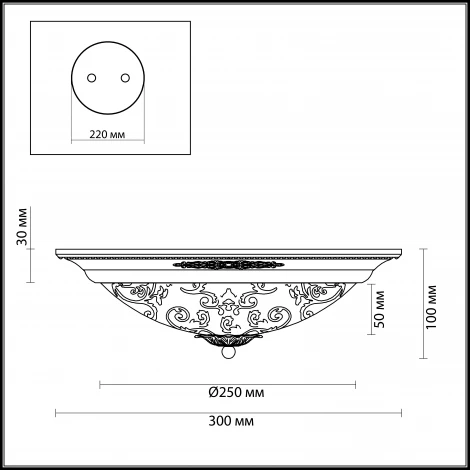 Настенно-потолочный светильник Odeon Light Corbea 2671/2C