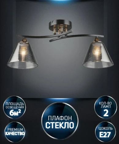 Потолочная люстра Wedo Light Dorika WD3636/2C-CF-FGD-SMK