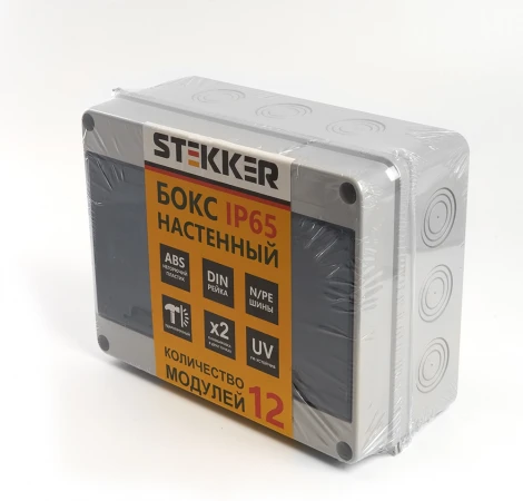 Бокс настенный 12 модулей Stekker 39191