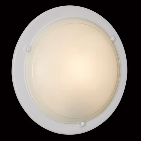 Настенно-потолочный светильник Sonex Riga 111