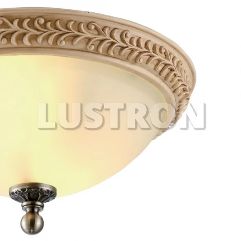 Потолочный светильник Arte Lamp Ivory A9070PL-2AB