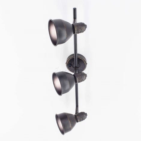 Спот на штанге Citilux Опус CL502532 (220V, выключатель, круглые)