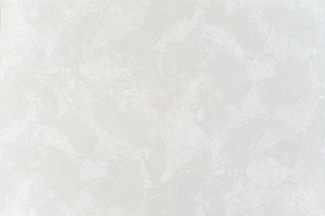 Обои виниловые Артекс Nature 10375-01 10,05 x 1,06 м