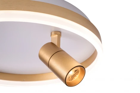 Потолочный светильник круглый со спотом Zortes Raizy ZRS.1888.04 (LED, 220V, круглые)