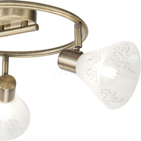 Спот Freya Paola FR7001CL-03BZ