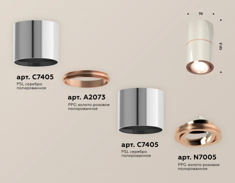 Накладной точечный светильник Ambrella Techno Spot XS7405080 (220V, круглые)