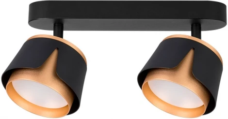 Спот Arte Lamp Amaks A8028PL-2BK