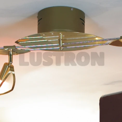 Настенно-потолочный светильник Lussole Stresa LSL-1109-05
