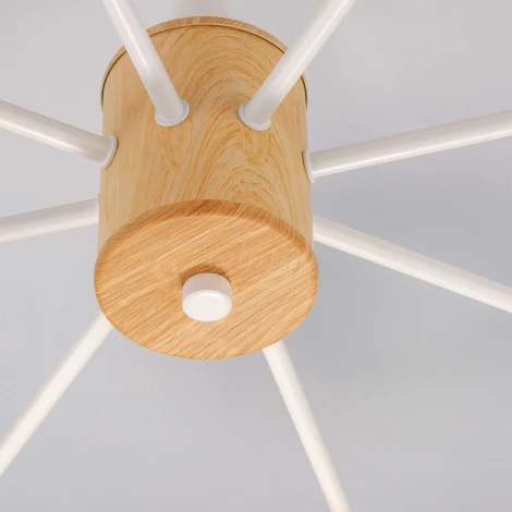 Потолочная люстра Eurosvet Fresco 70085/8 белый (220V)