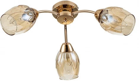 Потолочная люстра Escada Allium 663/3P