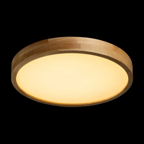 Потолочный светильник круглый светодиодный De City Норден 660015501