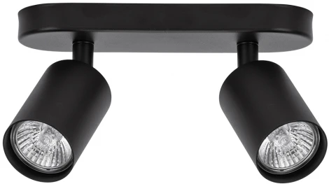 Спот Aquarius A3226PL-2BK Arte Lamp (220V)