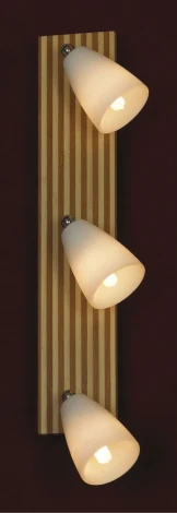 Настенный светильник Lussole Monticello LSN-4801-03