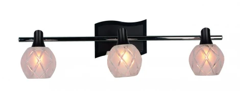Спот Omnilux OML-218 OML-21801-03